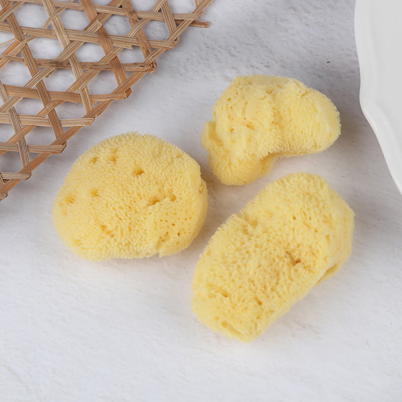 특수 질감 생산 청소 도구 흡수성 스폰지 닦는 펜 그림 - Eco Sponge 리뷰 및 가격